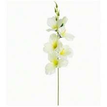 2 piezas/6 piezas, 55 cm Flores artificiales falsas Narciso Magnolia Flores de seda para decoración del hogar, sala de estar, boda, mesa, temas románticos, Día de San Valentín, regalo