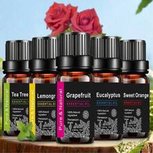 Ätherisches Öl für Diffuser, Aromatherapie-Maschinen Gips, Diffuser Stein, Aromatherapie-Luftbefeuchter, Auto, Haushalts-Pflege, Kerzenherstellung, Duftstoffe, Aromatherapie, Geschenk - Minze, Teebaum, Lavendel, Eukalyptus, Zitronengras, Rosmarin, Orange, Bergamotte, Zimt (10ml)