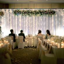 Fundal din tul strălucitor cu luminițe sclipitoare - Fundal pentru fotografie de nuntă și petrecere de 5,25x10FT - Cortină transparentă 1/2 panouri pentru decor de ziua de naștere/logodnă/sărbători, cadouri de absolvire, decorațiuni de ziua de naștere, decorațiuni de petrecere, burlăcițe, vară, plajă, înapoi la școală, rechizite școlare, decor de cameră