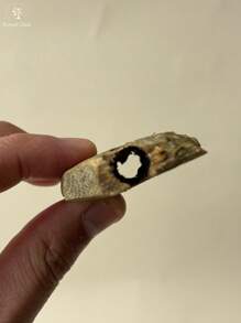5g, Agarwood, Incense, Pure Natural, No Additives, Full Of Oil, Full Of Fragrance, High-Quality Agarwood, Used With Electronic Incense, Fireproof Incense, Suitable For Indoor Fresh Air, Sleep Aid, Relaxation, Concentration, Yoga, Health Care