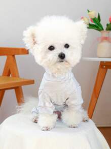 PETCIRCLE 1 pieza Ropa para mascotas para perros y gatos pequeños, atuendo fresco y lindo, ropa de interior cálida y cómoda, otoño/invierno