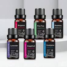 Ätherisches Öl für Diffuser, Aromatherapie-Maschinen Gips, Diffuser Stein, Aromatherapie-Luftbefeuchter, Auto, Haushalts-Pflege, Kerzenherstellung, Duftstoffe, Aromatherapie, Geschenk - Minze, Teebaum, Lavendel, Eukalyptus, Zitronengras, Rosmarin, Orange, Bergamotte, Zimt (10ml)