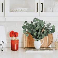 16pcs Dried Australian Eucalyptus Branches, Pickled Loose Eucalyptus Silver Dollar Leaves, Fresh Eucalyptus Silver Dollar Leaves For Shower - Wedding Home Party Vase Filler, Holiday Decor, Flower Girl Basket, Wreath, Scented Candle, Confetti, DIY Wreath, Cake Decor Gifts Birthday Graduation