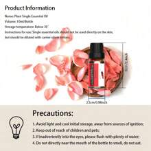 Ätherisches Öl für Diffuser, Aromatherapie-Maschinen Gips, Diffuser Stein, Aromatherapie-Luftbefeuchter, Auto, Haushalts-Pflege, Kerzenherstellung, Duftstoffe, Aromatherapie, Geschenk - Minze, Teebaum, Lavendel, Eukalyptus, Zitronengras, Rosmarin, Orange, Bergamotte, Zimt (10ml)