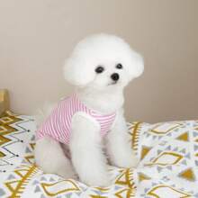 涤纶背心，适合泰迪熊、贵宾犬和猫等小型犬，透气透明面料，适合户外穿着