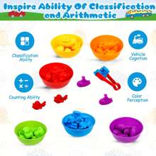 Counting Toys Matching Game Set With Sorting Bowls Learning Activity, Math Color Categorization Education Sensory STEM Toys, Suitable For Ages 3+