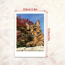 Prezent na Wielkanoc, Wielkanoc, Prezent dla Niej, Niego, Mamy, Przyjaciół, Wystrój Domu, Dekoracja, Niestandardowy Prezent, Unikalne Idealne Prezenty Dla Jej Chłopaka, Dziewczyny, Rodziny, Przyjaciół Na Walentynki, Na Rocznice, Na Śluby, Na Urodziny Wydruk Zdjęcia Do Salonu Unikalny Papier Prezenty Rocznicowe Spersonalizowany Wystrój Fotografii Niestandardowy Druk Zdjęć Małe Wydruki Zdjęć Zdjęcia Do Pokoju Niestandardowe Zdjęcia Wysokiej Jakości, Stylowe Niestandardowe