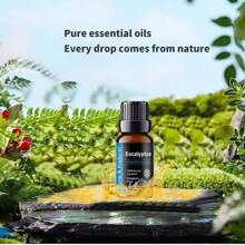 Ätherisches Öl für Diffuser, Aromatherapie-Maschinen Gips, Diffuser Stein, Aromatherapie-Luftbefeuchter, Auto, Haushalts-Pflege, Kerzenherstellung, Duftstoffe, Aromatherapie, Geschenk - Minze, Teebaum, Lavendel, Eukalyptus, Zitronengras, Rosmarin, Orange, Bergamotte, Zimt (10ml)