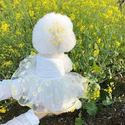 1件宠物连衣裙，轻薄夏季宠物薄纱连衣裙，适合狗狗、贵宾犬、比熊犬、泰迪犬、约克夏梗犬、雪纳瑞犬、小型犬等。