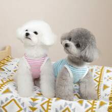 涤纶背心，适合泰迪熊、贵宾犬和猫等小型犬，透气透明面料，适合户外穿着