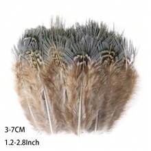 50 件批发天然孔雀野鸡羽毛用于工艺品珠宝制作配件婚礼装饰捕梦网真羽毛