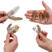 50 件批发天然孔雀野鸡羽毛用于工艺品珠宝制作配件婚礼装饰捕梦网真羽毛