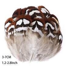 50 件批发天然孔雀野鸡羽毛用于工艺品珠宝制作配件婚礼装饰捕梦网真羽毛