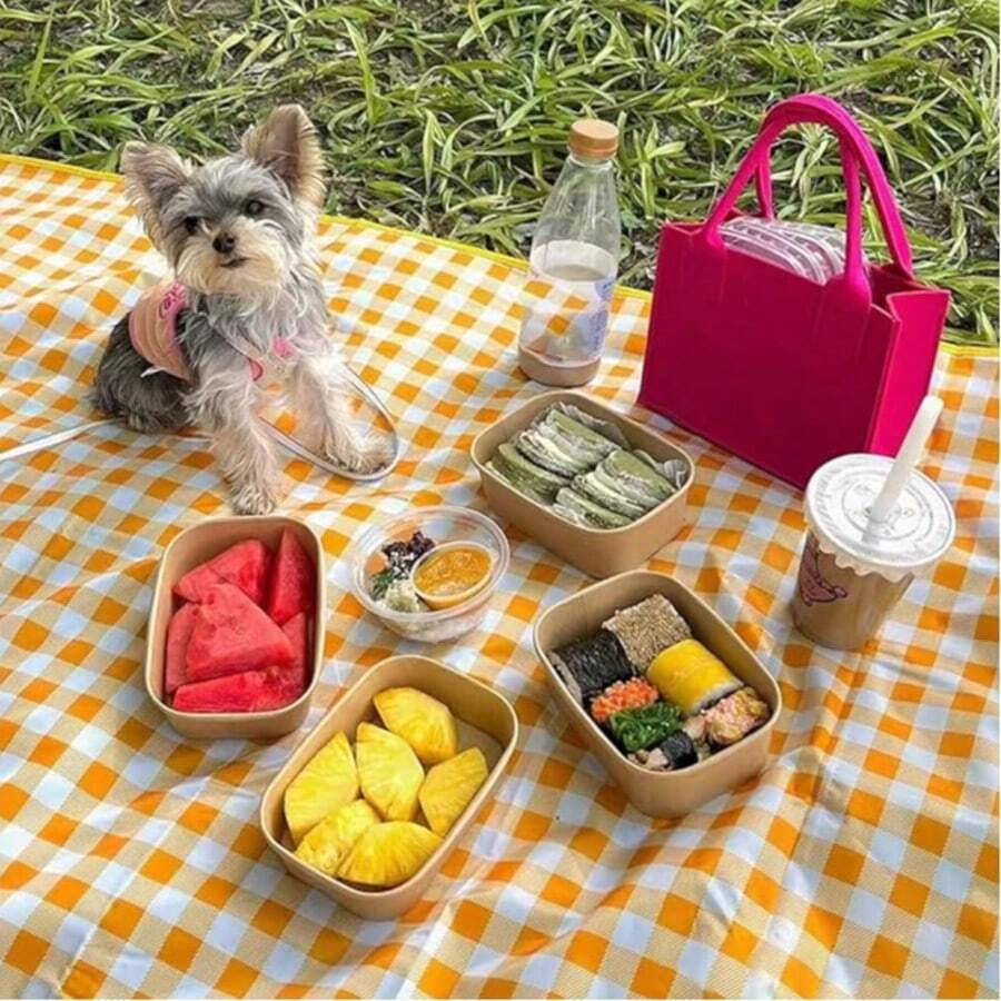 Covoraș de picnic pentru camping în aer liber Covoraș de plajă impermeabil pentru cort Covoraș de podea covoraș de gazon rezistent la apă Picnic poate transporta pernă mică pliabilă - Multicolor - Vizualizare 1