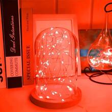 LED String Lights 20m200LED Warm White White Multicolor Fairy Tale Lights, USB Power Powered Fairy String Lights, Waterproof Silver Wire Copper Wire String Lights For DIY Wedding Dormitory, Bedroom, Party, Flower Decoration, Birthday Decoration, Campus Decoration, Festival Decoration, Courtyard Garden Decoration, Etc - Đỏ - Xem 3