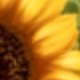CAA0018