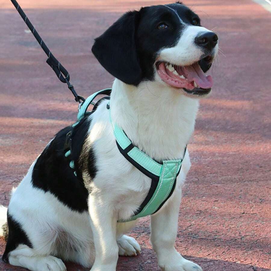 Conjunto de duas peças de arnês e guia para cães, guia refletiva para cães médios e grandes