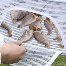 1 pieza Tendedero plegable para uso al aire libre, deshidratador de alimentos multiusos de poliéster con tapa, jaula de malla colgante portátil para pescado, verduras, sin necesidad de electricidad, seguro para el contacto con alimentos - Multicolor - Ver 5