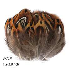 50 件批发天然孔雀野鸡羽毛用于工艺品珠宝制作配件婚礼装饰捕梦网真羽毛