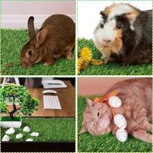 鸡舍垫，5.9/11.8 英寸见方，优质柔软吸水母鸡垫，家禽舍床垫，产蛋母鸡用品。 - 綠色 - 查看 3