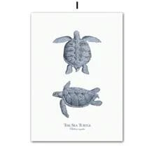 1 件海龟海马珊瑚动物墙面艺术帆布画海报印刷品墙壁适用于客厅家居装饰无框架 - 彩色 - 查看 18