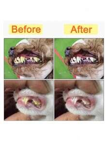 1 件装猫/狗爱好者礼物和狗/猫妈妈爱宠物牙刷，带柔软三面刷毛，有效清洁牙齿和清新口气，猫/狗爱好者礼物和狗/猫妈妈爱宠物口腔护理牙刷，随机发货颜色 - 彩色 - 查看 3