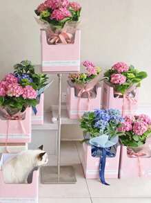 1 pieza de Caja de regalo con planta en maceta, para decoración con macetas de floristería y cafetería, con orquídeas, hortensias, flores frescas y secas