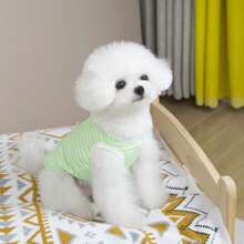 涤纶背心，适合泰迪熊、贵宾犬和猫等小型犬，透气透明面料，适合户外穿着