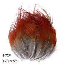 50 件批发天然孔雀野鸡羽毛用于工艺品珠宝制作配件婚礼装饰捕梦网真羽毛