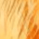 CAA0001