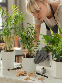 30pcs Wooden Plant Labels, Wooden Garden Plant Marker With Pen, Outdoor Plant Garden Labels, Flower Labels, Creative Gardening Marking Board,Gardening Tools, Gardening Decorations, Outdoor Garden Plants Garden Pot Plants Waterproof Garden Markers For Seedlings, Succulents, Indoor Greenhouse, Seeds, Potted Plants, Flowers, Vegetables, Plants - Khaki - View 8