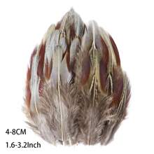 50 件批发天然孔雀野鸡羽毛用于工艺品珠宝制作配件婚礼装饰捕梦网真羽毛