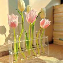 10/25 PCS Clear Plastic Test Tubes With Cork Lids – DIY Plant Decor, 15x100mm/16x100mm/16x150mm/20x150mm,Propagation Vases, Dried Flower Storage, Candy Containers, Bead Sorting, Wedding & Party Favors, Science Lab Supplies - Multicolor - View 4