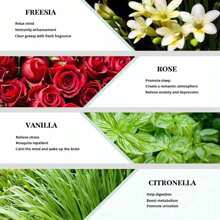 Ätherisches Öl für Diffuser, Aromatherapie-Maschinen Gips, Diffuser Stein, Aromatherapie-Luftbefeuchter, Auto, Haushalts-Pflege, Kerzenherstellung, Duftstoffe, Aromatherapie, Geschenk - Minze, Teebaum, Lavendel, Eukalyptus, Zitronengras, Rosmarin, Orange, Bergamotte, Zimt (10ml)