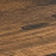 Marrón