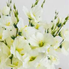 2 piezas/6 piezas, 55 cm Flores artificiales falsas Narciso Magnolia Flores de seda para decoración del hogar, sala de estar, boda, mesa, temas románticos, Día de San Valentín, regalo