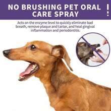 50Ml Dog Lover And Dog Mom Love Oral Spray For Puppy Keep No Brushing Cat/Dog Lover Gift And Dog/Cat Mom Love Pet Oral Care Spray Dog Lover And Dog Mom Love/Cat Lover And Cat Mom Love Tooth Cleaning Spray