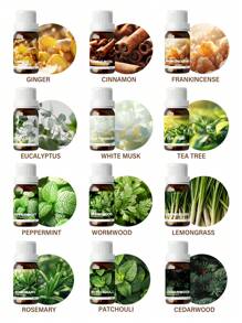 EMBRACEX. 10ml 100% Pure Natural Lemongrass & Citronella Essential Oils, Suitable For Aromatherapy Diffuser, Autumn/Winter - Lemongrass Essential Oil - View 4