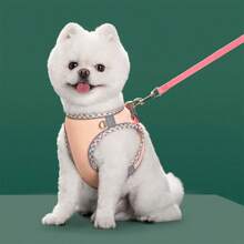 Harnais pour chien de promenade et ensemble de laisse pour chiens de petite et moyenne taille, Chihuahua, Pomeranian, accessoires de harnais pour chiens