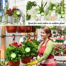 1/5/10Pcs Automatic Plant Water Feeder, Self Watering Plastic Ball, Garden Plant Self-Watering Bulbs, Plastic Plant Automatic Water Devices For Indoor Outdoor Potter Plants, Suitable For Flowers And Vegetables, Flowerpot Drip Irrigation Device