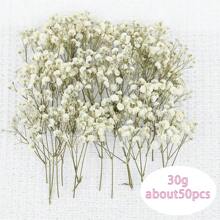 1 boîte de fleurs séchées naturelles, fleurs séchées conservées d'hortensia, paquet de matériel de DIY de fleurs éternelles, paquet de matériel de fleurs séchées par haleine de bébé, matériel végétal de haute qualité pour l'artisanat de DIY, décoration, non électrique, sans plumes