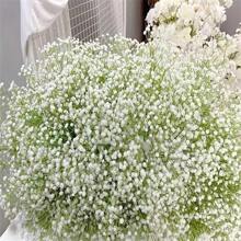 Pure White Real Touch 1pc/12pcs/18pcs/30pcs Artificial Gypsophila Flowers - Suitable For Wedding Bride Engagement Home Scene Flower Arrangement, Mother'S Day Decoration, Home Decor - Multicolor - View 3