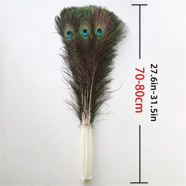 20/10/5/1pc 27.6in-31.5in Natural Peacock Feather Loose Set Peacock Feather Crafts