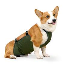 Waterproof Pet Clothes Dog Rain Jacket Belly Cover Corgi Raincoat Dog Bellyband Breathable Anti-Dirty Puppy Outfits Doggy Raincoat Dog Belly Protector