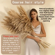 10 pièces/20 pièces Bouquet d'herbe de Pampas, 22 pouces/39,37 pouces - Botte de roseaux de Pampas séchés, convient pour la décoration intérieure du salon, la décoration de bureau de style fermier, la décoration de mariage, le style bohème, le style vintage (marron) Cadeaux Anniversaire Remise des diplômes, Décoration d'automne, Automne, Plantes artificielles