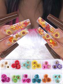 36朵雏菊仿真花美甲装饰 3D菊花婚礼美甲假花美甲用品美甲饰品美甲配件美甲宝石 - 彩色 - 查看 3