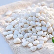 100g Premium Ghiaia decorativa bianca, pietre per paesaggistica bianche, ciottoli di fiume bianchi, per paesaggistica, decorazione interna ed esterna, perfetti per vasi, acquari e sentieri da giardino - ideali per progetti fai-da-te e composizioni floreali