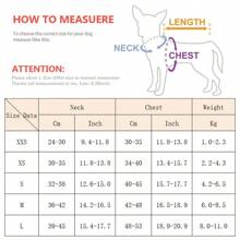 Harnais pour chien de promenade et ensemble de laisse pour chiens de petite et moyenne taille, Chihuahua, Pomeranian, accessoires de harnais pour chiens