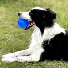 1 件吱吱作响的狗玩具球（6 种颜色），小型/中型/大型犬咀嚼玩具，攻击性咀嚼牙齿清洁玩具