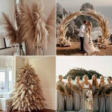 10 pièces/20 pièces Bouquet d'herbe de Pampas, 22 pouces/39,37 pouces - Botte de roseaux de Pampas séchés, convient pour la décoration intérieure du salon, la décoration de bureau de style fermier, la décoration de mariage, le style bohème, le style vintage (marron) Cadeaux Anniversaire Remise des diplômes, Décoration d'automne, Automne, Plantes artificielles